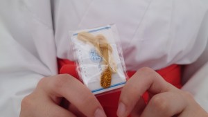 messageImage_1775383259162